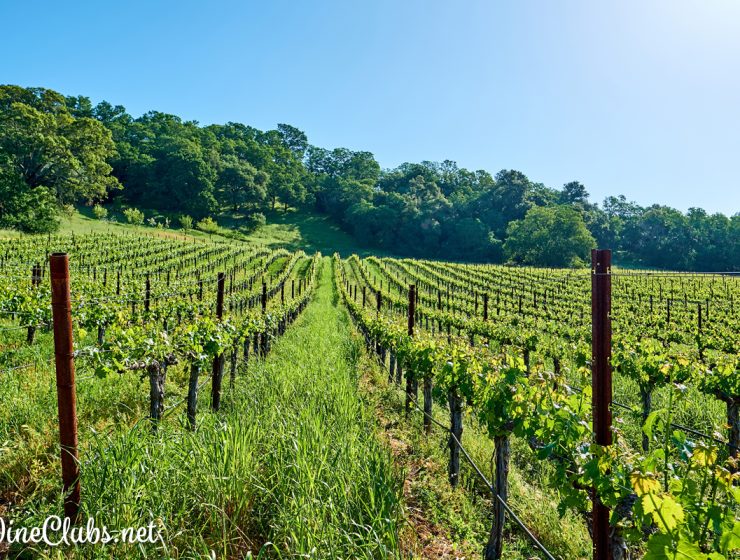 Paso Robles Wine Country